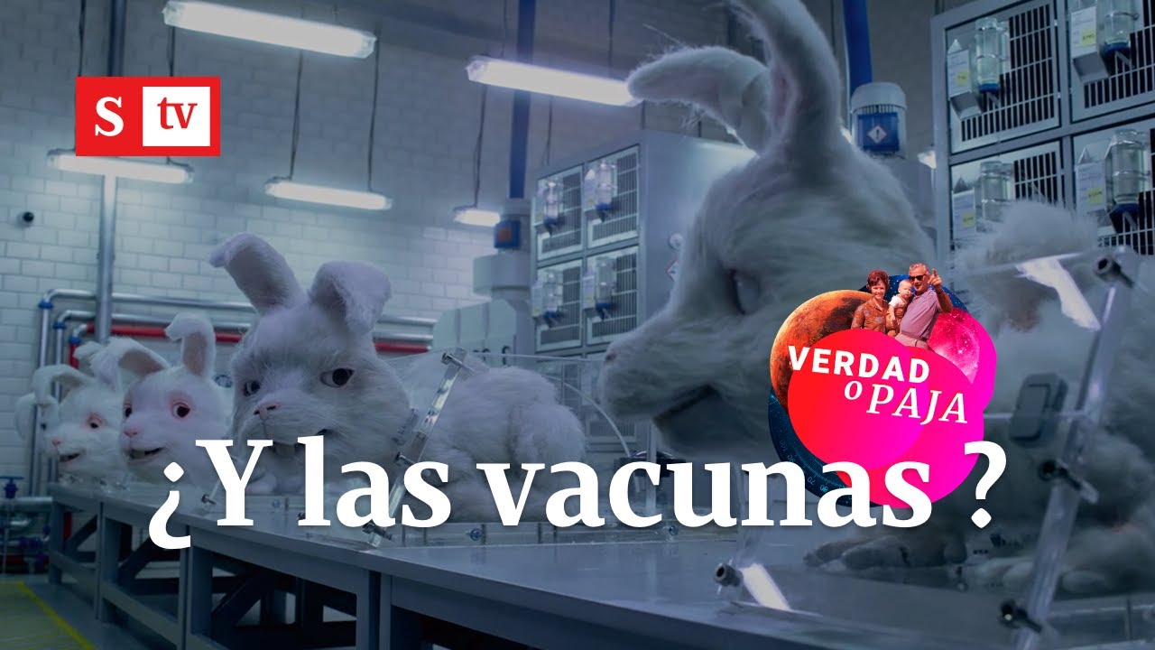 Después de Ralph: ¿qué sabemos de las vacunas anticovid y el testeo en animales? I Videos Semana