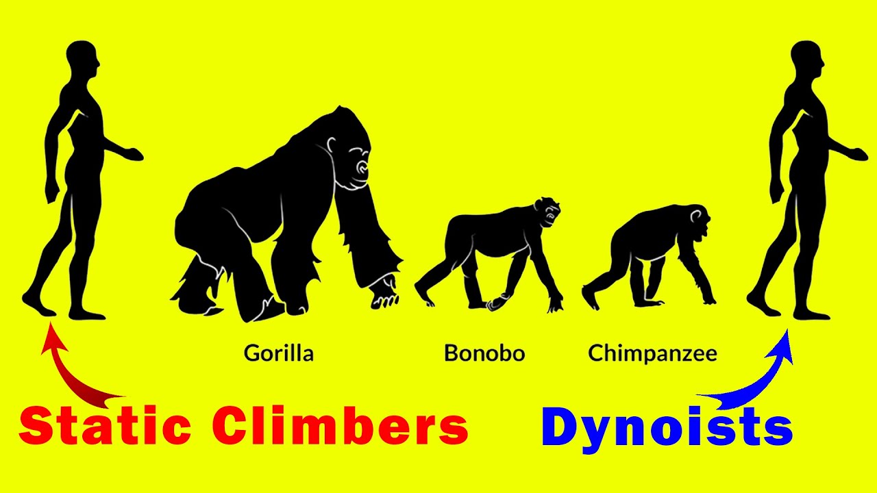 This is the Evolution of Rock Climbing - Dynology #007