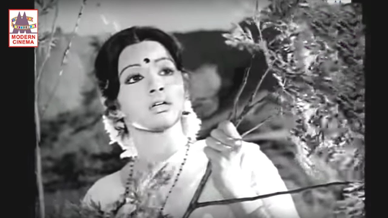 Kuyile Kavi Kuyile Song HD- Kavikkuyil | குயிலே கவிக்குயிலே - கவிக்குயில்