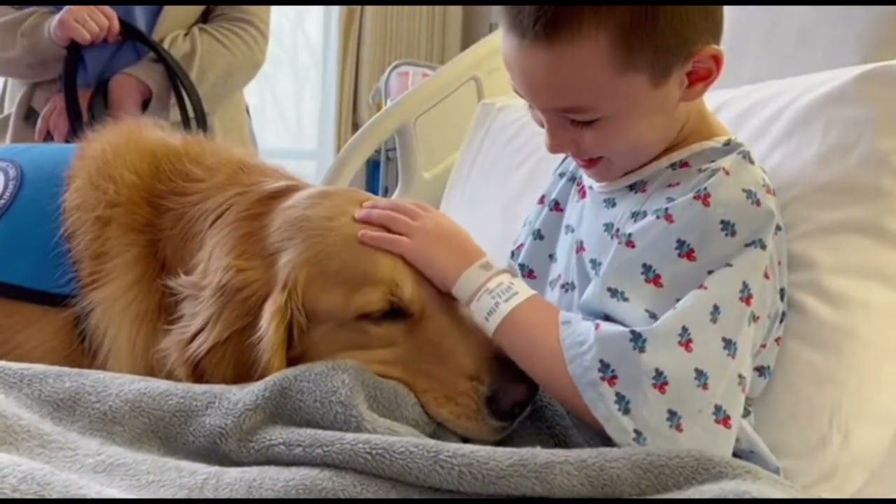 Animals Being HEROES - Incredible Rescues Caught on Camera #animalsavinglives #animalrescue 
