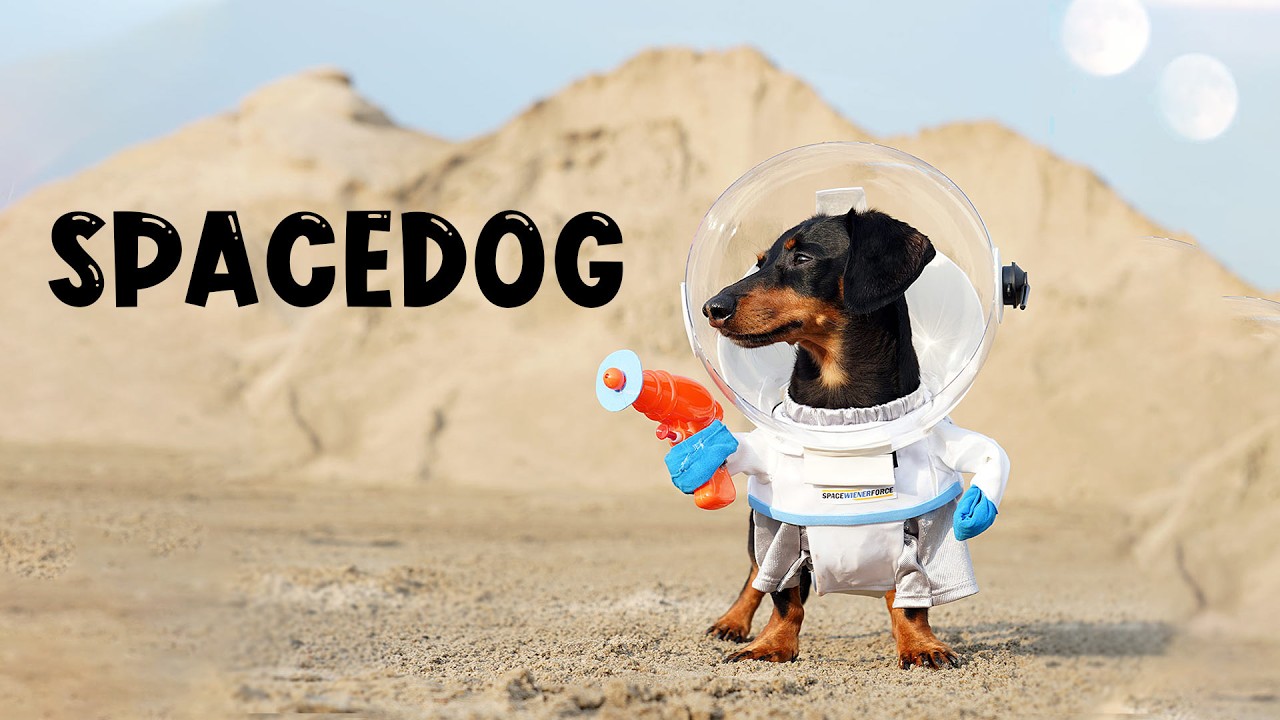 Ep 9: SPACEDOG Crusoe vs. Alien Monster! &mdash; (Funny Wiener Dog in Space!)
