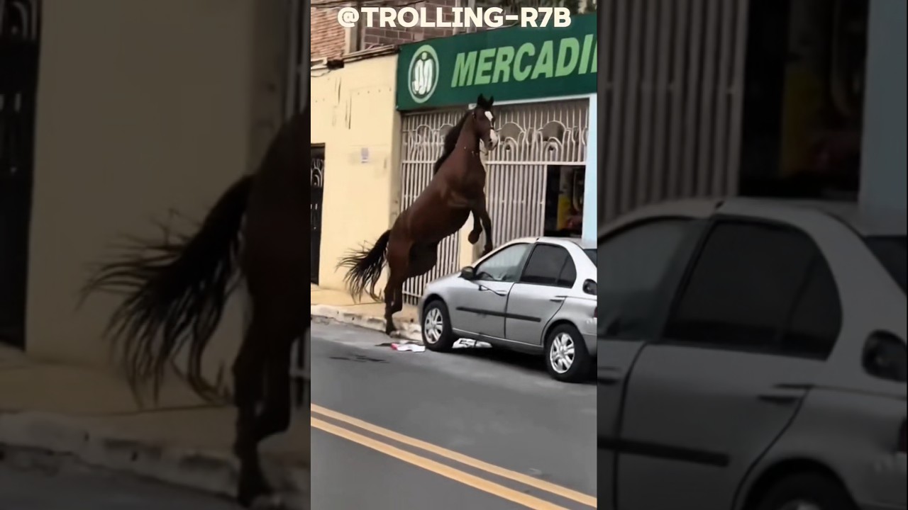 🚨 Angry Horse Lost Control   the Streets! 😨 #shorts #fypシ゚viral