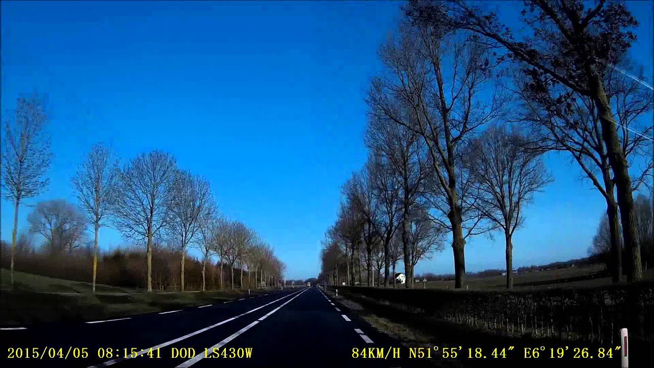 N317 Rees - Dieren