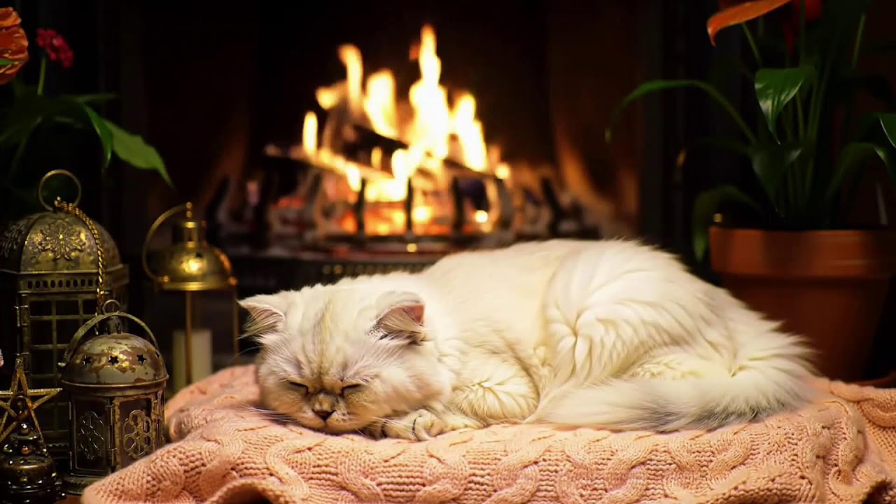 Sleep by the Fire with Gentle Crackling Sounds and a Comforting Atmosphere