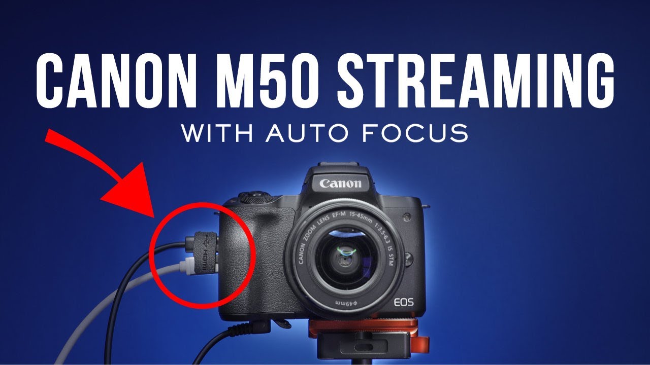 Canon M50 Live Streaming with Auto Focus!