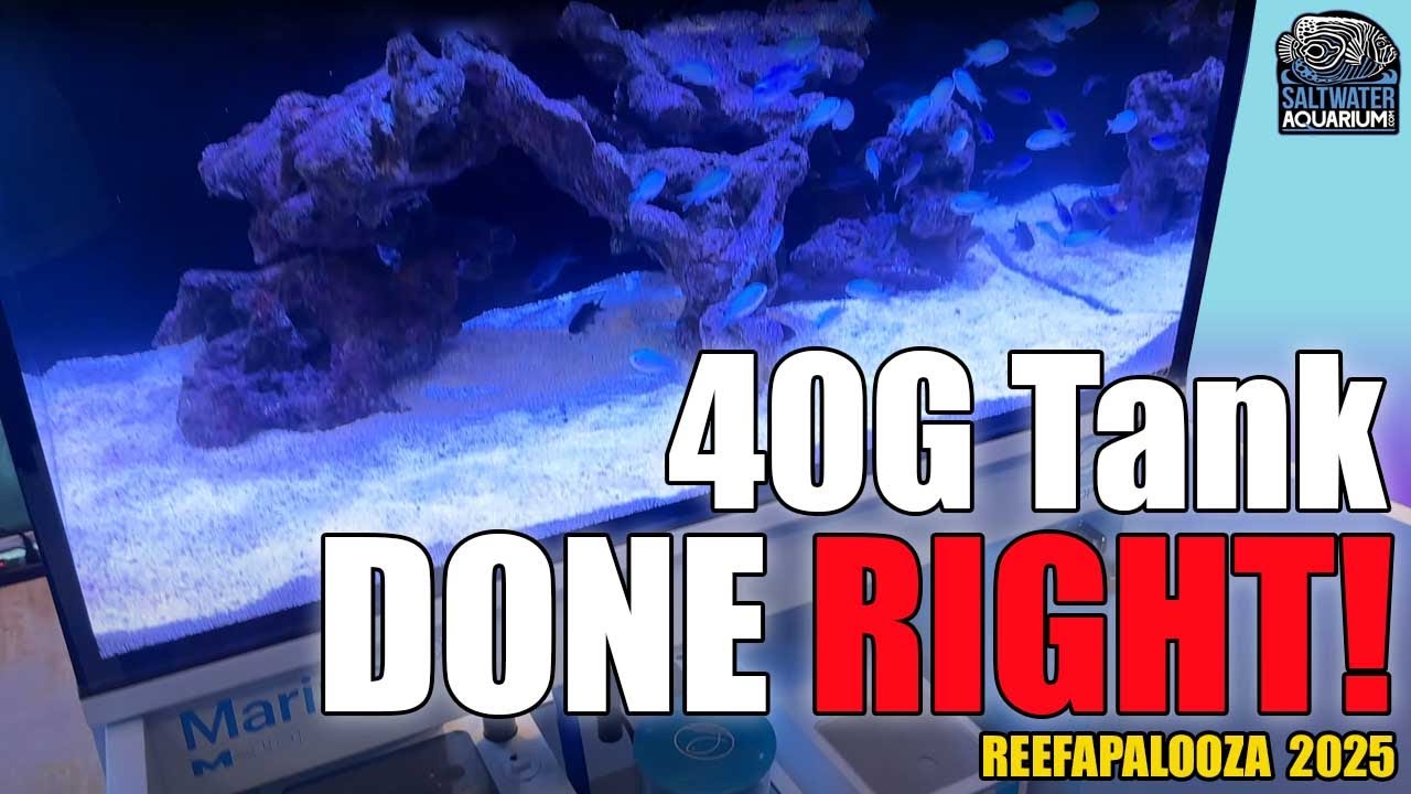 ESHOPPS Mariner 40 Aquarium Kit | Thick Glass, Strong Seams & Peace of Mind | Reefapalooza CA 2025