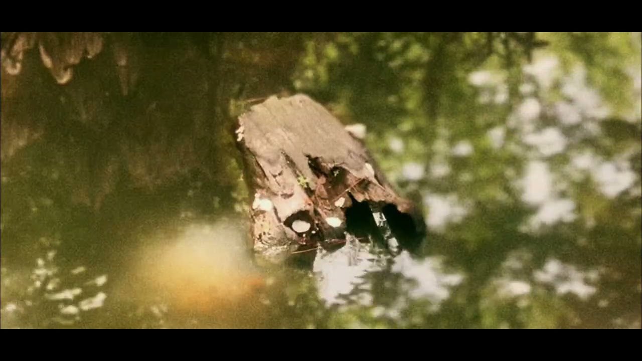 dark eyed sailor instrumental
