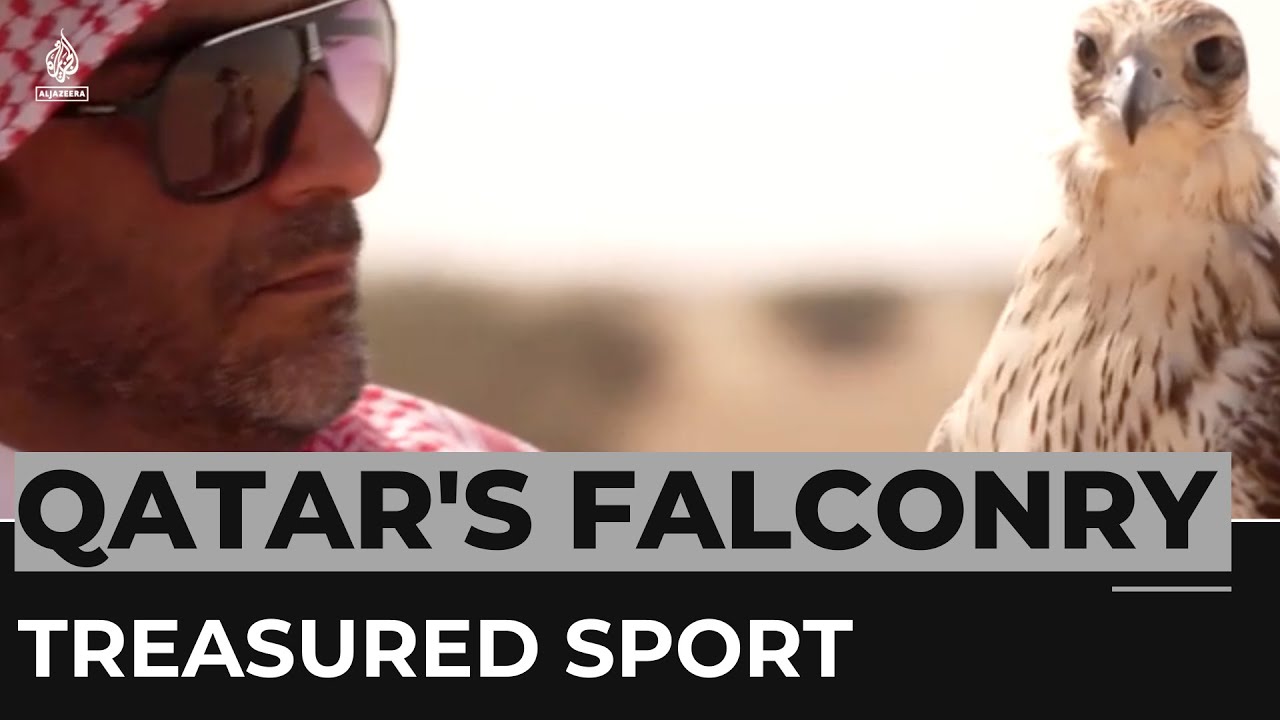 World Cup notwithstanding, falconry is one of Qatar's treasured sports