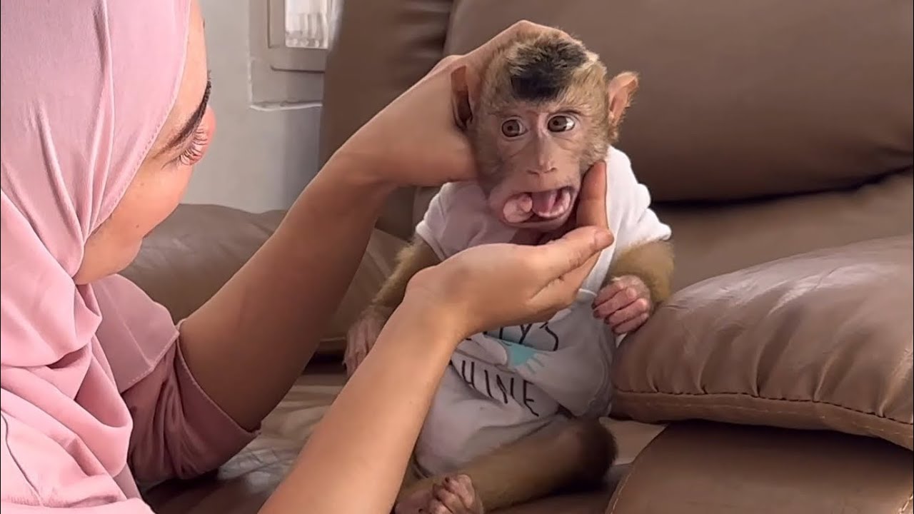 Oh No! Mom panicked but still tried to get the gum out of Alpha's mouth