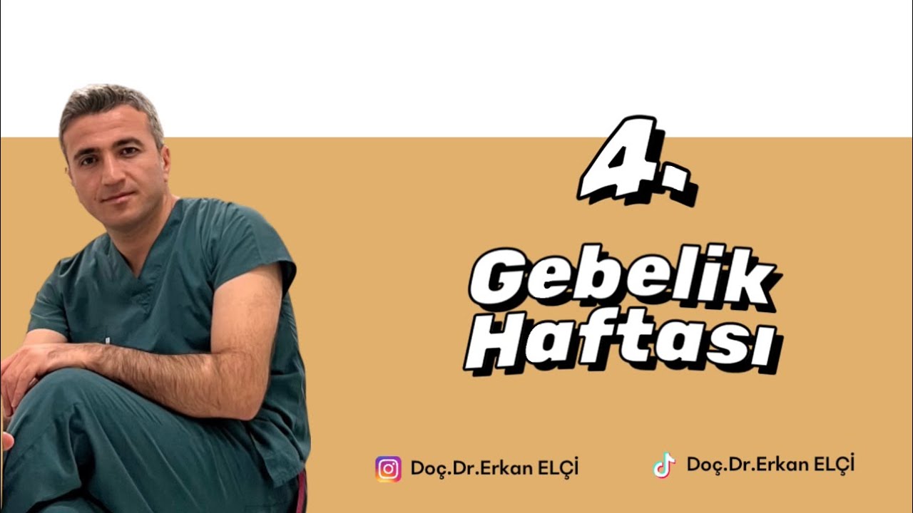 4. Gebelik Haftası