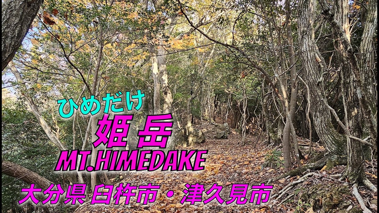 「姫岳」登山【大分・臼杵市】往復2時間で手軽に登るルート、途中危険箇所あり「姫岳」へ