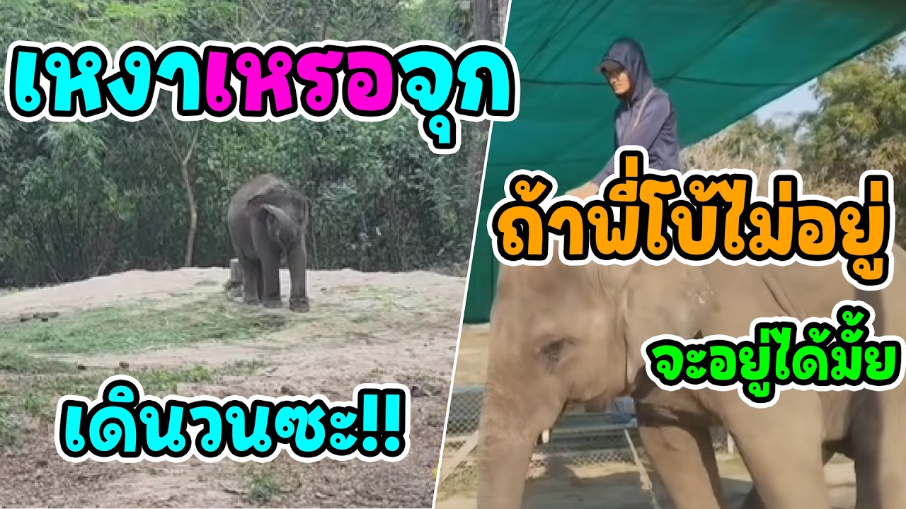 รอเพื่อนเรียนจบ อัปเดตชีวิต