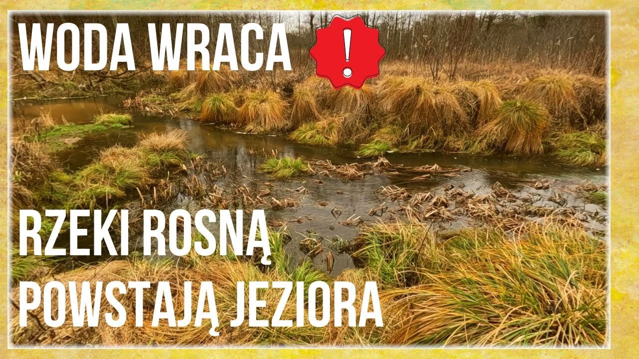 Rzeki popłyną od nowa. Kopalnia oddaje wodę. Przyroda naprawia i niszczy jednocześnie. Grudzień 2024
