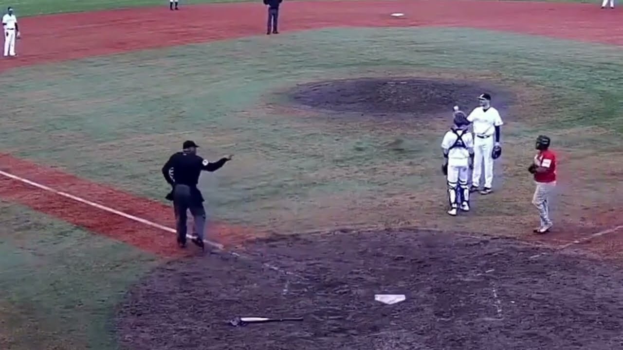 Dutch MLB/Honkbal Hoofdklasse - Ejections 2023 (part 1)