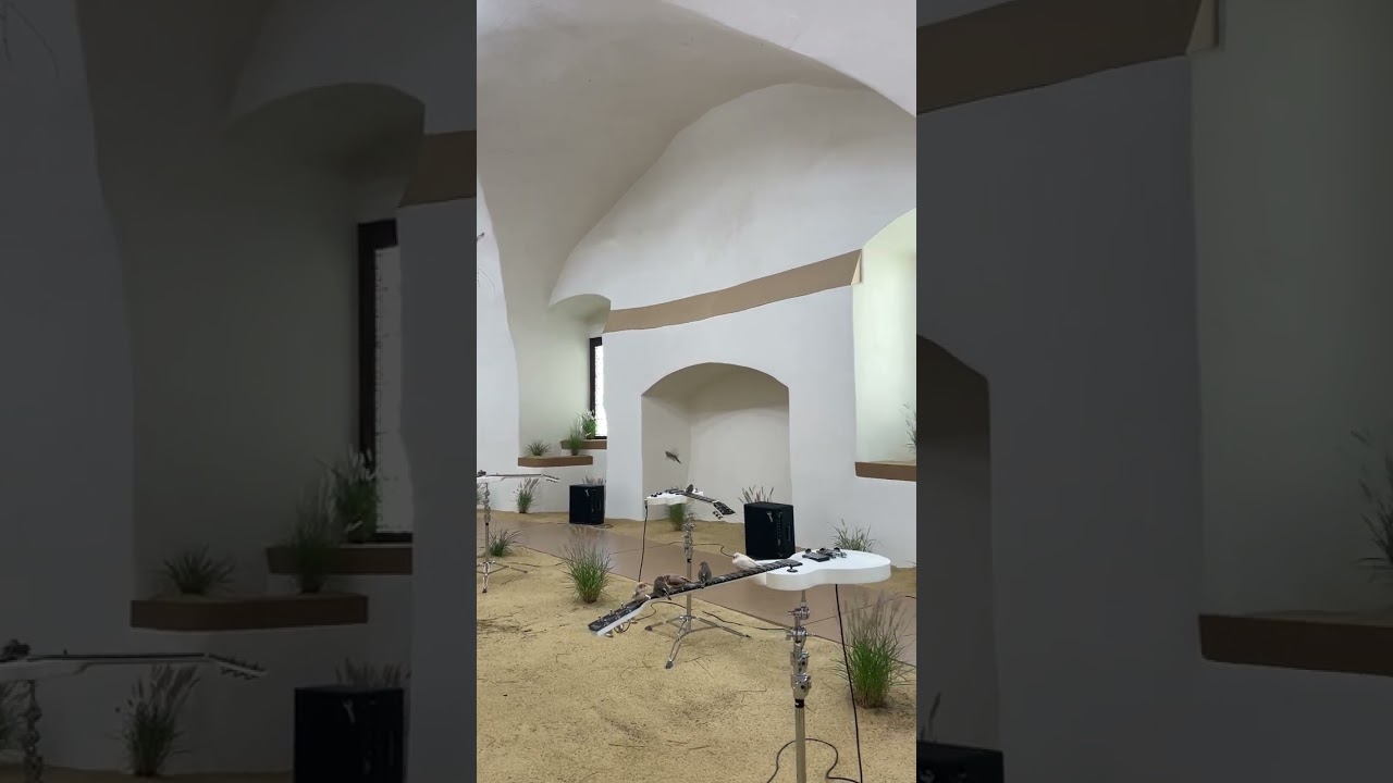 C&eacute;leste Boursier-Mougenot, from here to ear (v.25), 2024