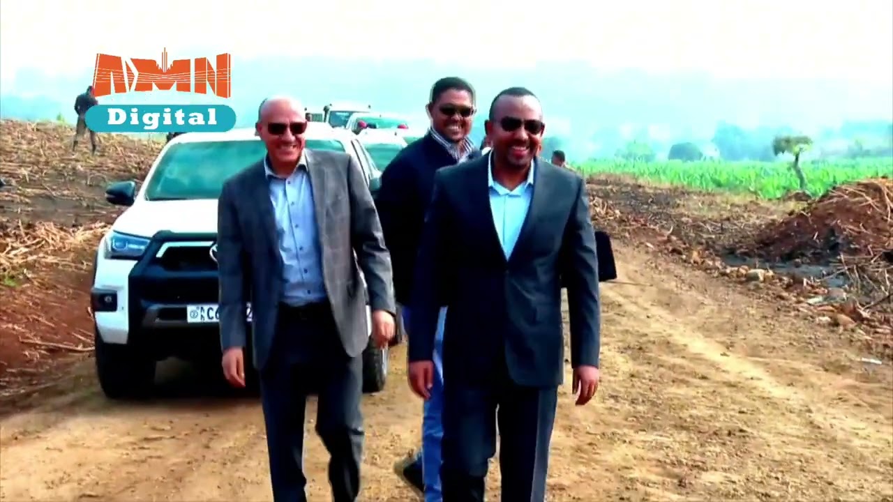 በ‎ቄለም ወለጋ ዞን ሃዋ ገላን ወረዳ በሌማት ትሩፋት መርሃ-ግብር የለማ የሙዝ እርሻ፤#Ethiopia #addisababa #PMOEthiopia