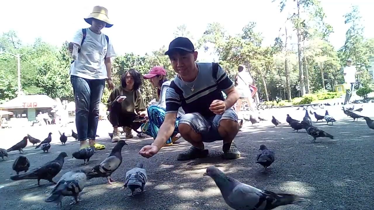 Nature birds paradise 2025