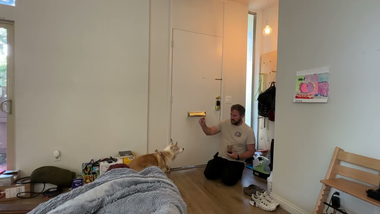Dog Training Tip Stop a Dog From Shredding Mail Delivered in the Door Slot