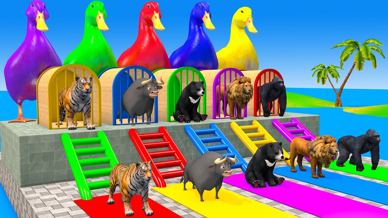 Long Slide Game With Cow Elephant Gorilla Hippopotamus Tiger 3d Animal Game Funny 3d Animals