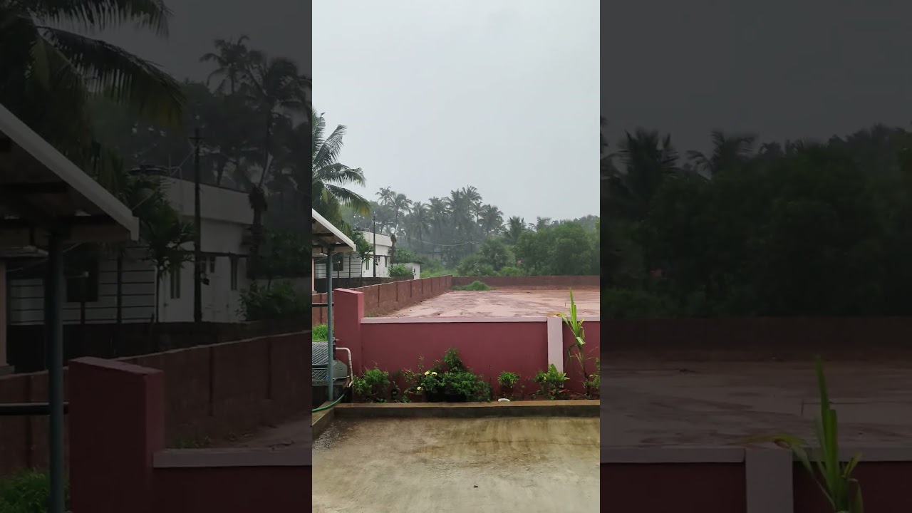 Heavy rain Udupi Karnataka now.🌧️🌧️🌧️🌧️