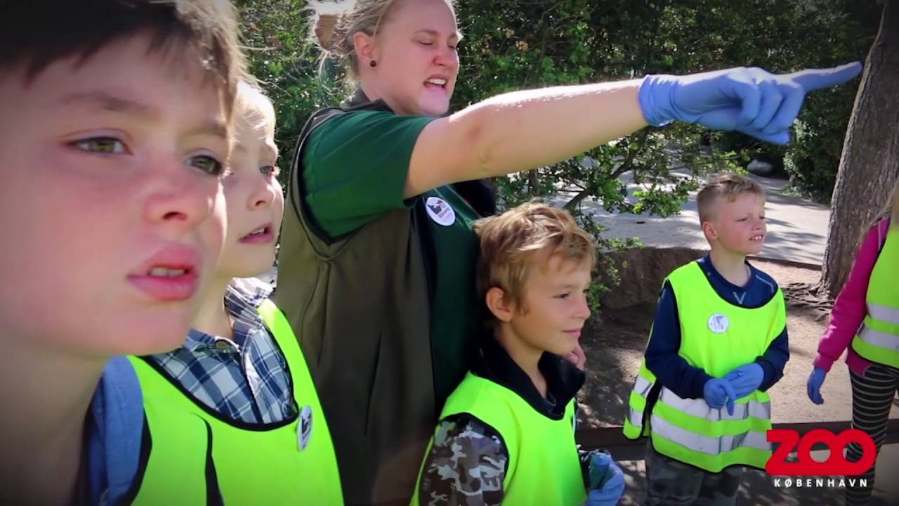 Zoocamp i København Zoo | Copenhagen Zoo