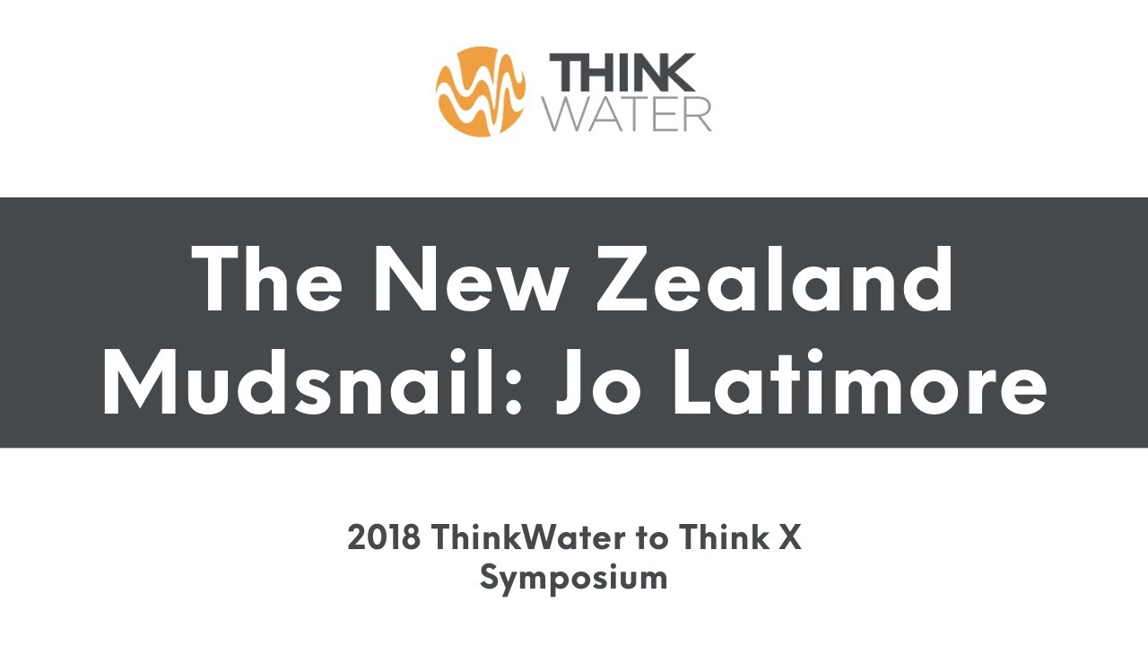 Jo Latimore applies systems thinking to community water engagement | Academic Conferences