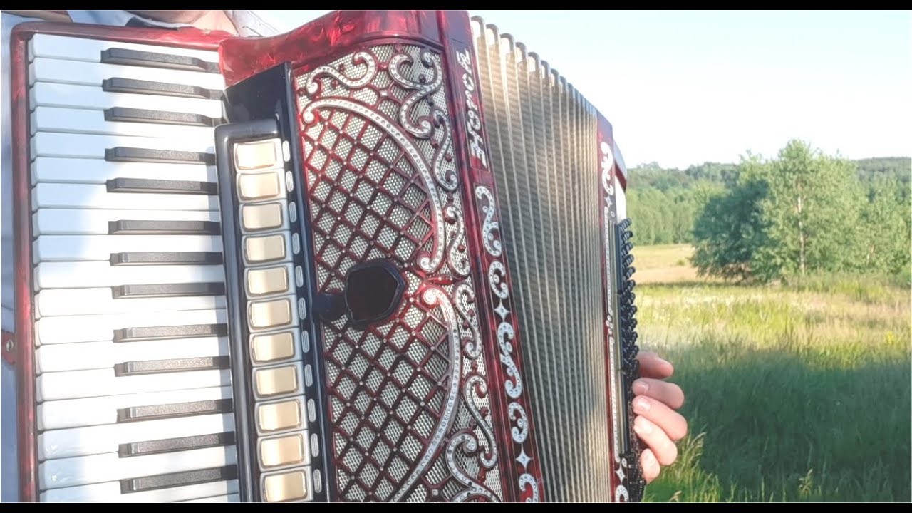Siadła pszczółka na jabłoni - akordeon, saksofon - biesiadne piosenki weselne