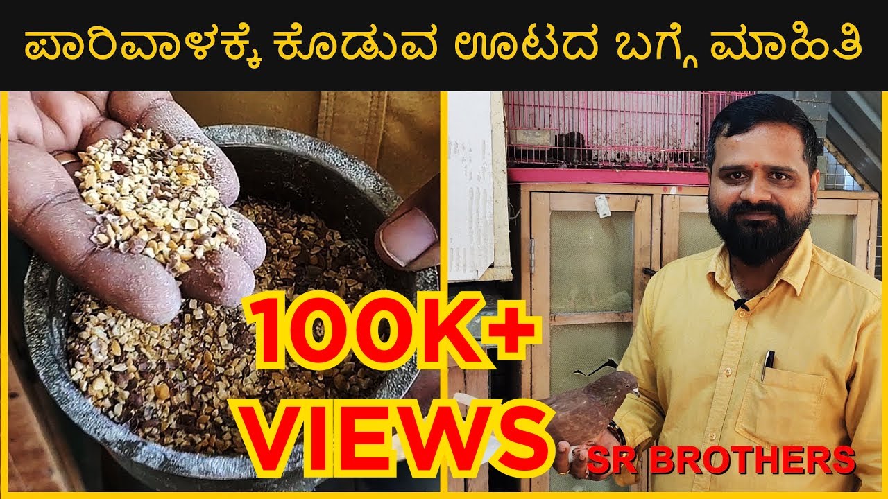 ಪಾರಿವಾಳಕ್ಕೆ ಕೊಡುವ ದೈನಂದಿನ ಊಟದ ಬಗ್ಗೆ ಮಾಹಿತಿ | Daily food for pigeon | KANNADA