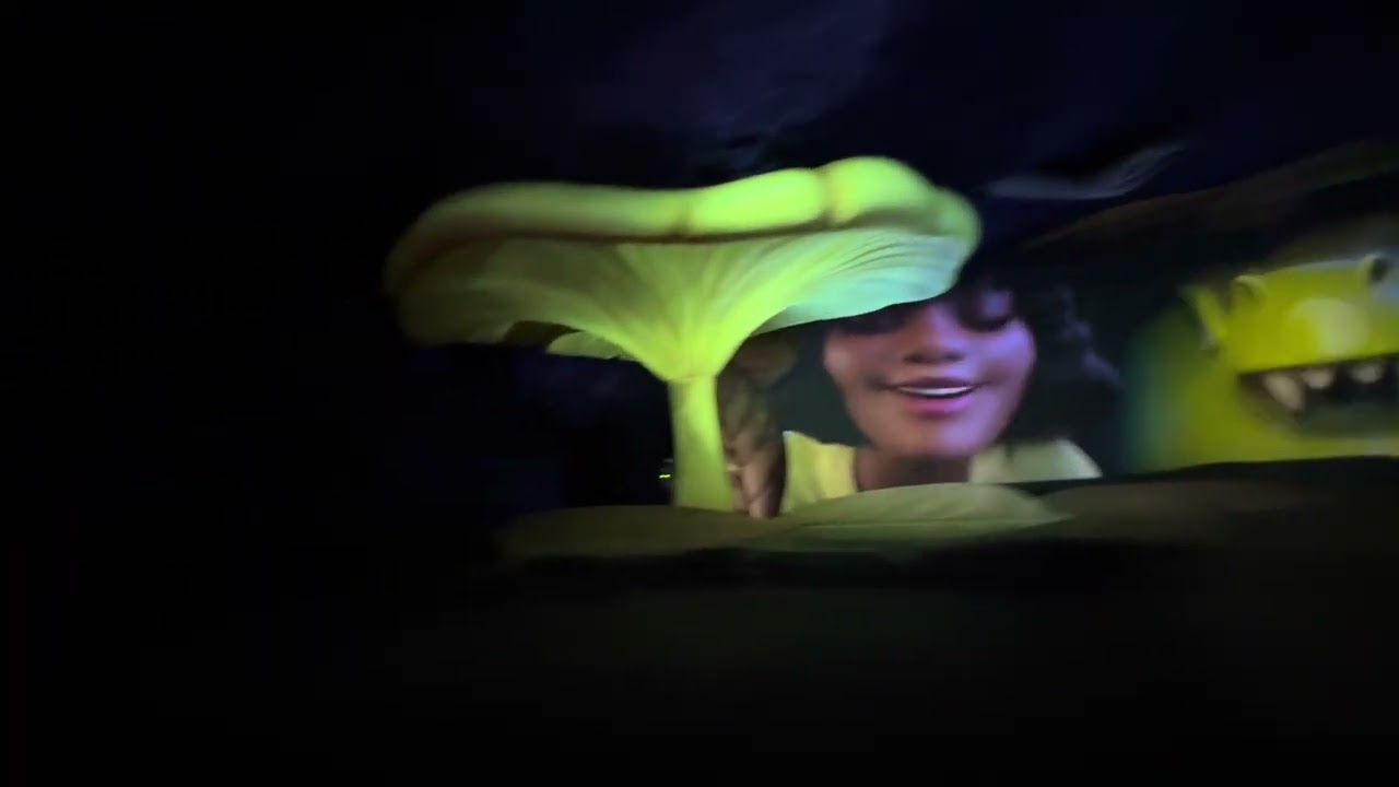 Tiana’s Bayou Adventure