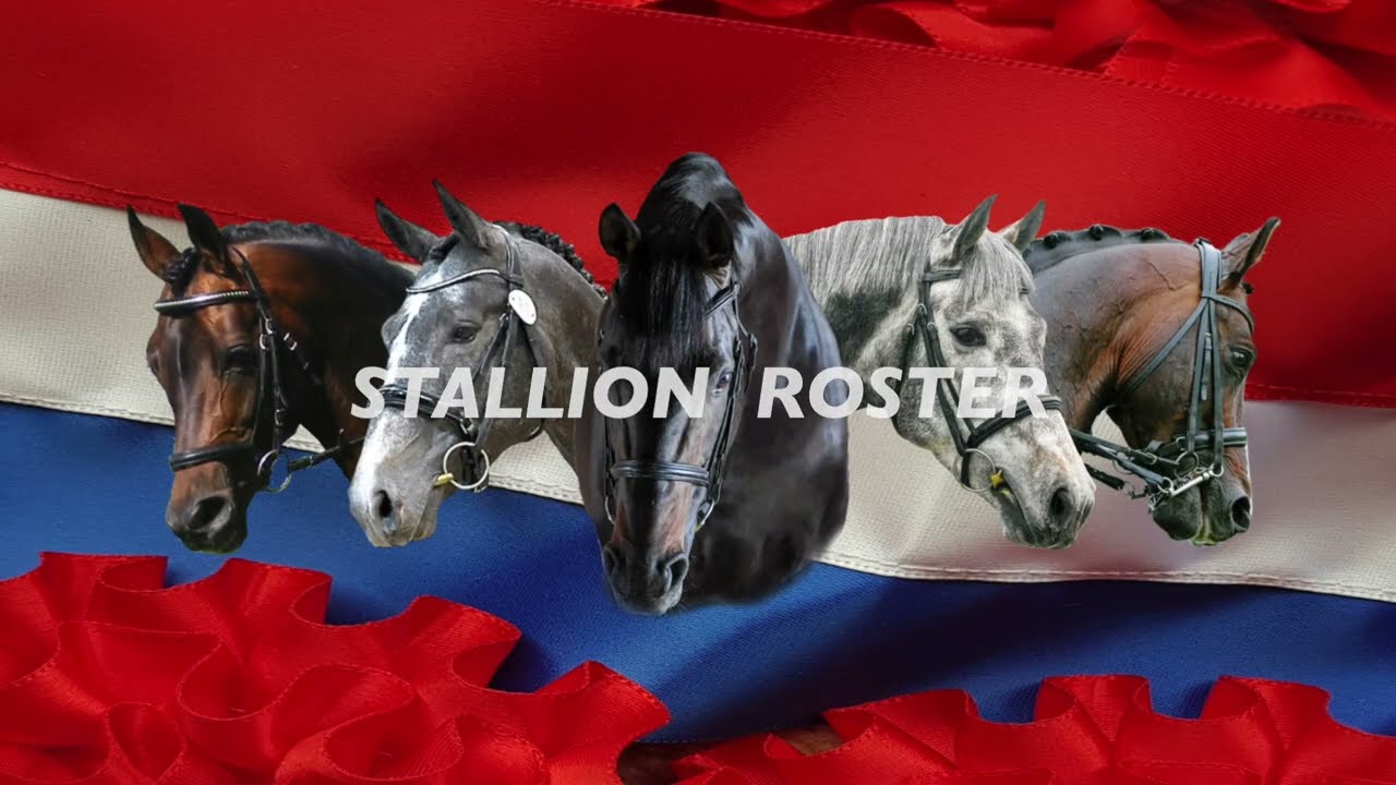 2023 Stallion Overview with offspring