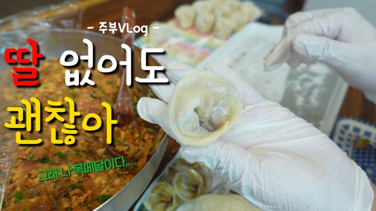 주부vlogㅣ혼자 북치고장구치는 주부일상ㅣ5도2촌브이로그ㅣ내팔자에딸은없다?ㅣ정수기필터갈고ㅣ연어초밥해먹고 손만두 만들어먹는 주부일상