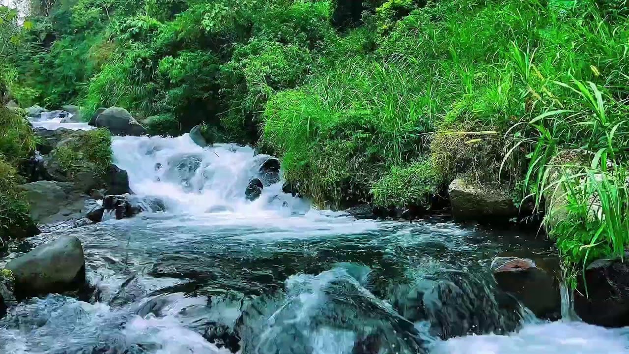 Mountain Stream Night Water Flow, Forest River Sounds, Sleep