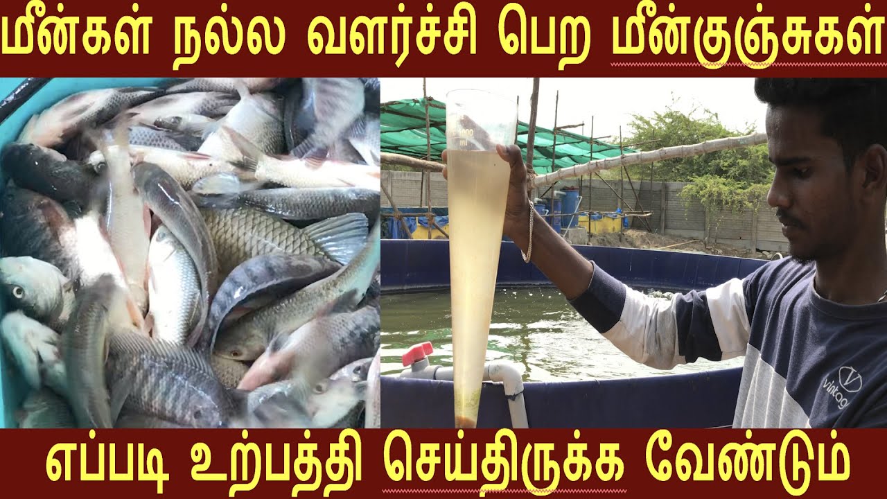 1 ஏக்கரில் எடுக்கும் மீன் மகசூலை வெறும் 5 சென்டில் தரும் பையோபிளாக் முறை