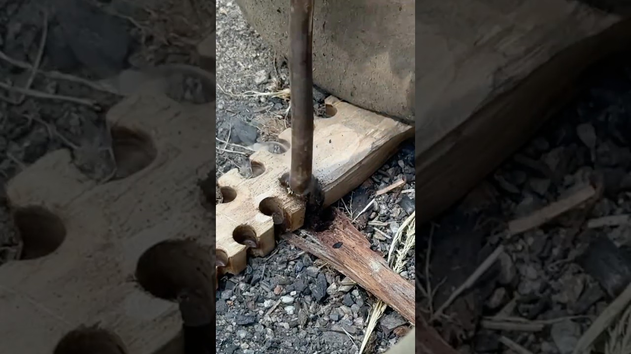 Friction Fire #survival #primitivetechnology #campfire
