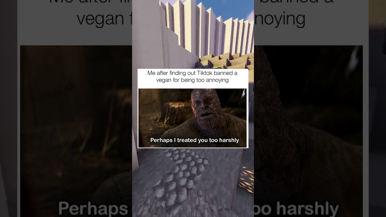 VEGAN MEMES