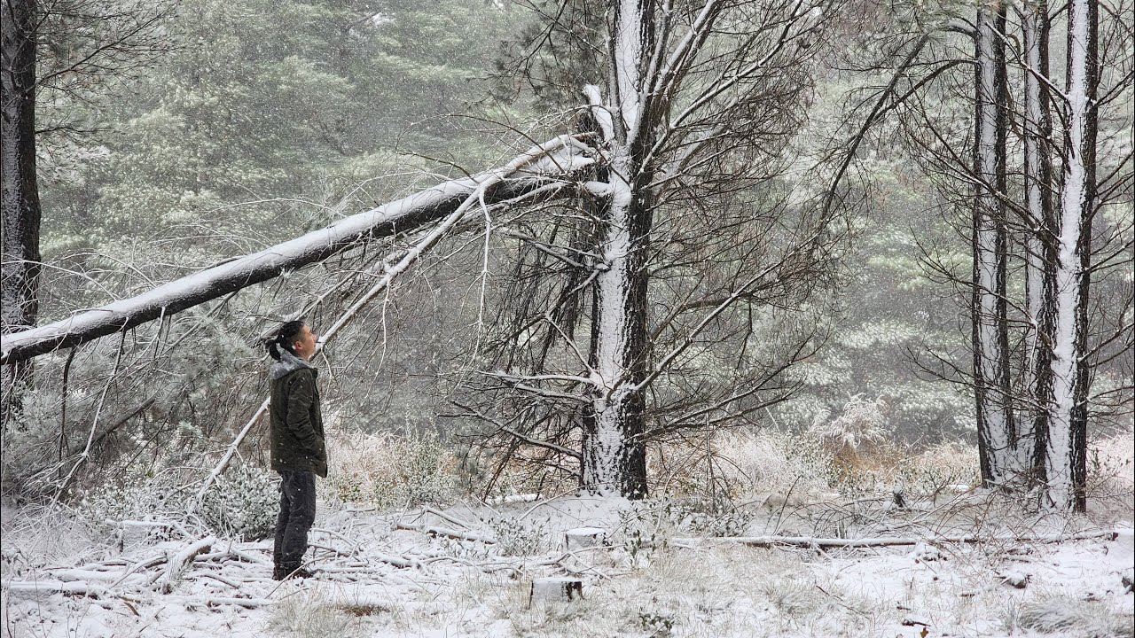 Snow Drive Shooters Hill 2025