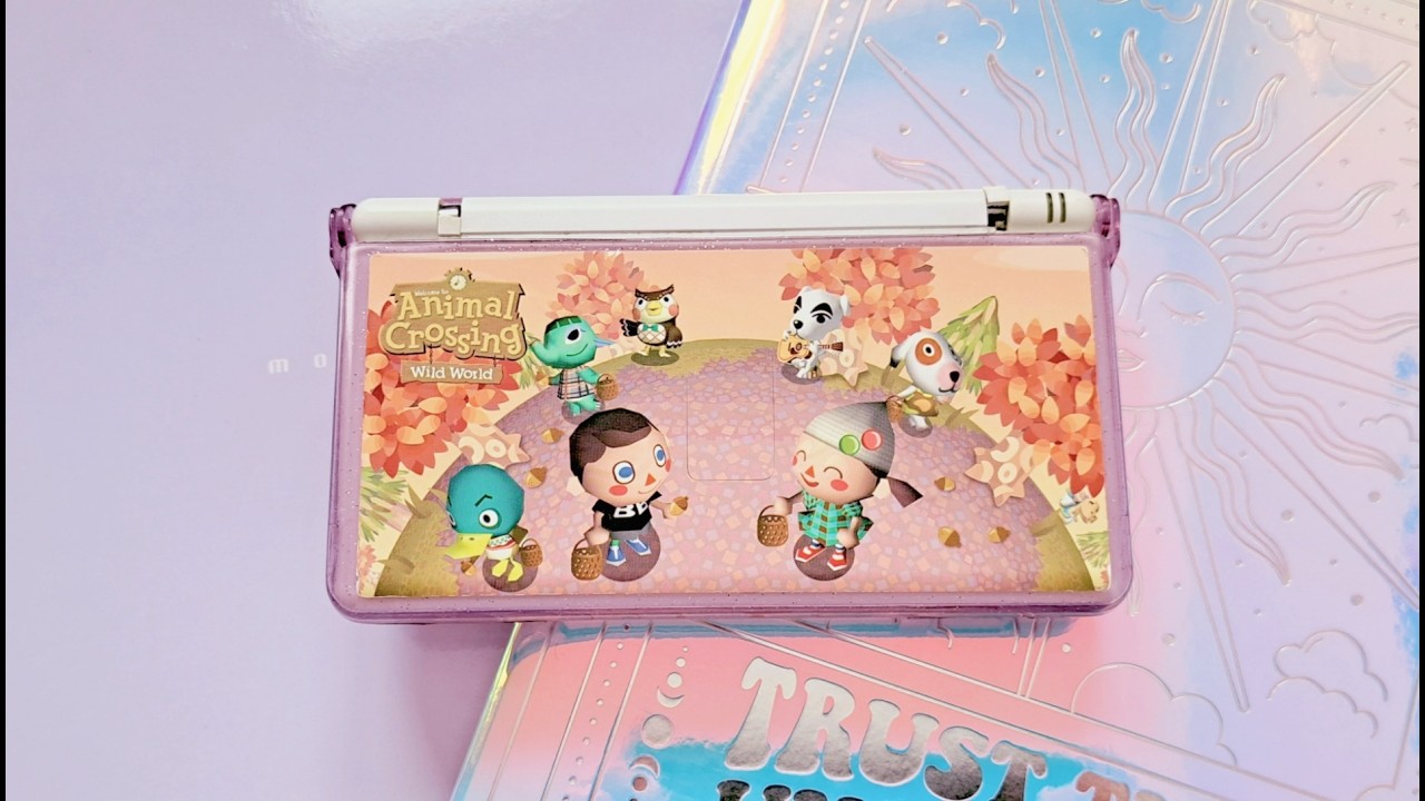 Animal Crossing DS Lite console ݁₊ ⊹ . ݁˖ . ݁·ꕤ
