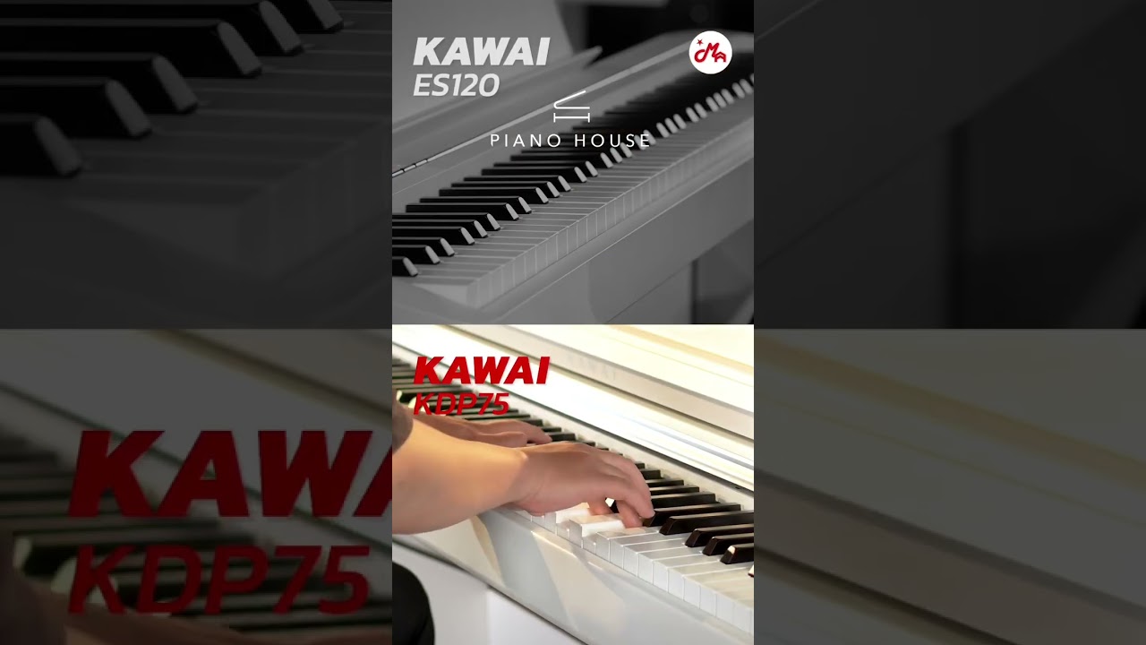 𝐒𝐨 𝐬𝐚́𝐧𝐡 𝐊𝐃𝐏𝟕𝟓 & 𝐊𝐃𝐏𝟏𝟐𝟎