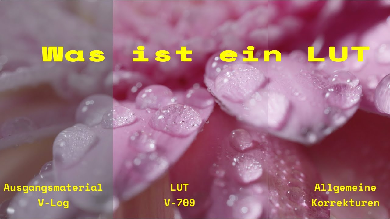 Was ist ein LUT?