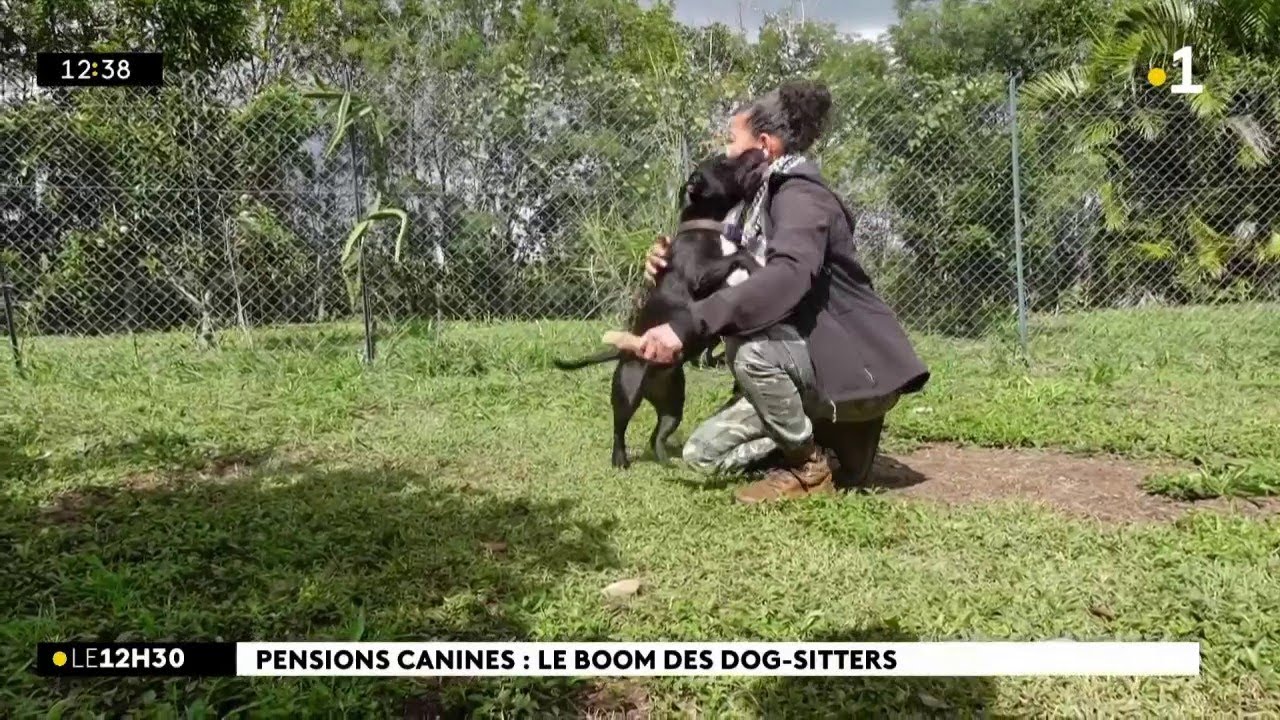 La garde d'animaux de compagnie est une activit&eacute; qui ne connait pas la crise.