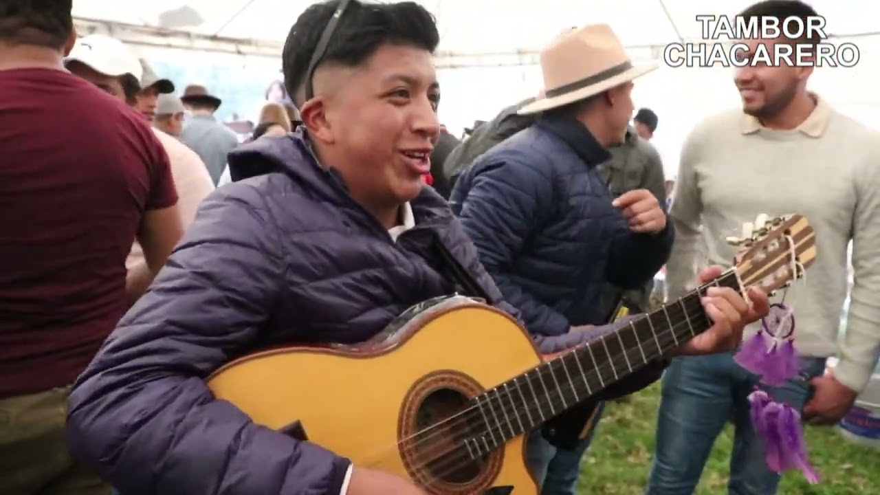 Entre guitarras.