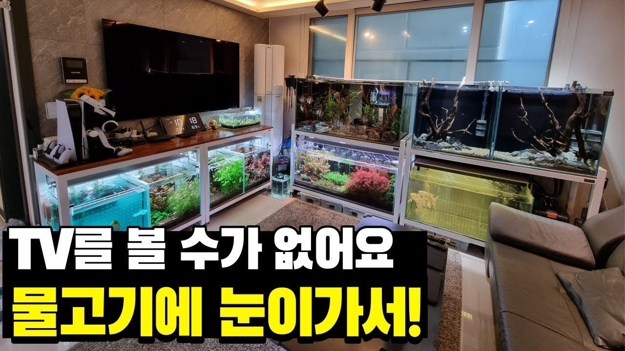 [1시간모음집]어항에 점령당한 미친 가정집 모음집(80대노인의 거실계곡,어항이점령한부부의집,와이프가바꿔버린 집안풍경,귀촌부부의 거실계곡,자취남의 물멍집)