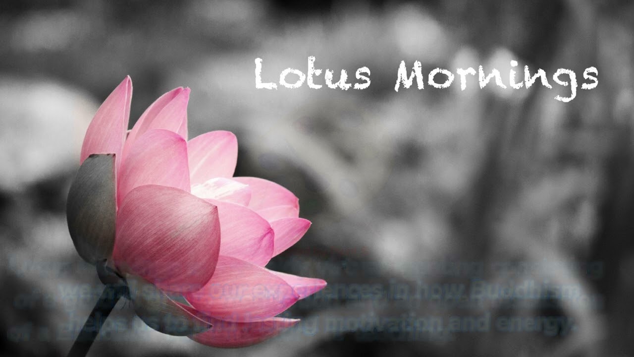 2022 Lotus Mornings - Clear Vision, Peaceful Heart- 3