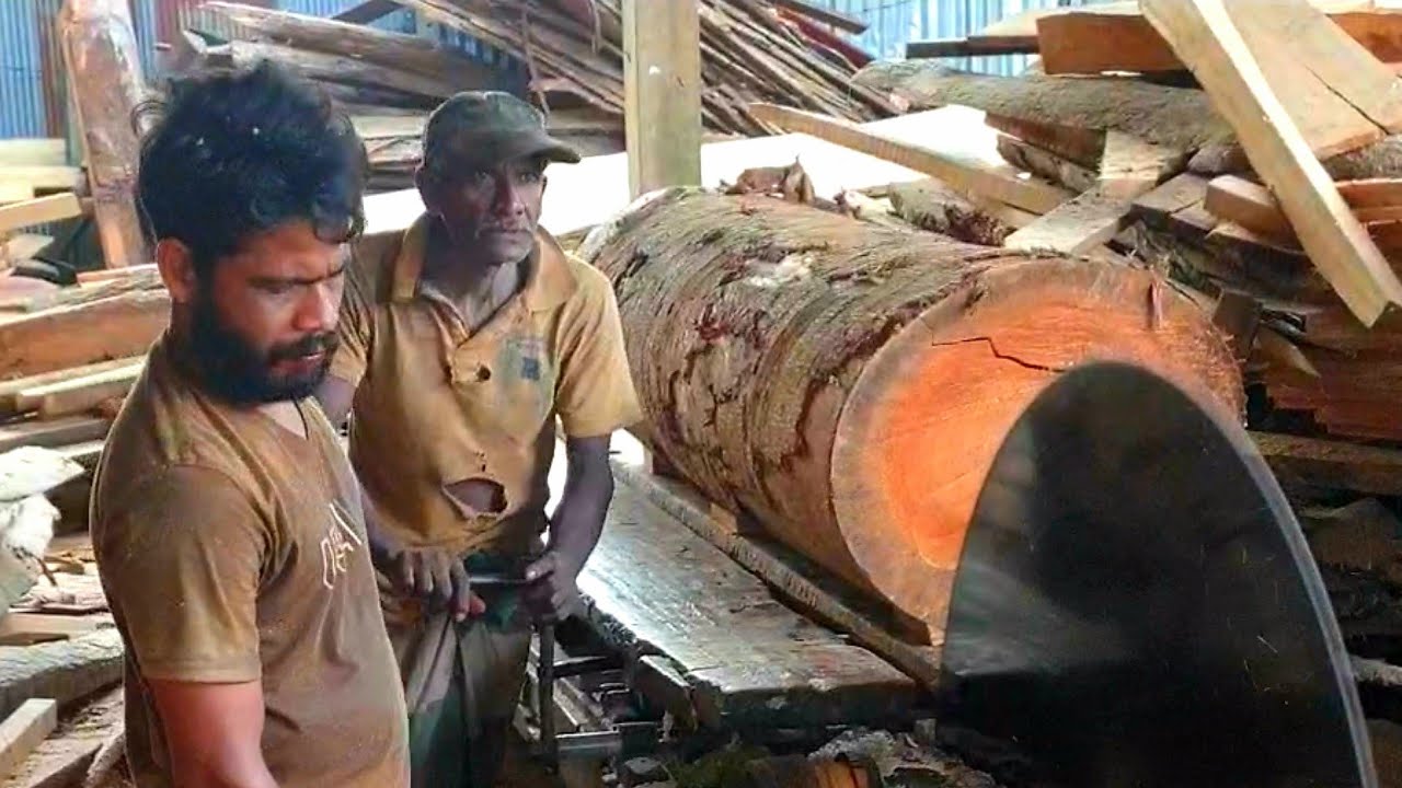 Sri Lanka,ශ්‍රී ලංකා,Ceylon,Sawmill,Lumber Mill cutting large Tree Trunks