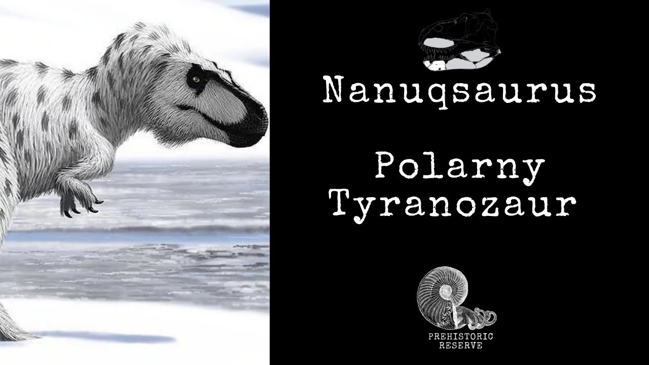 Nanuqsaurus - Polarny Tyranozaur