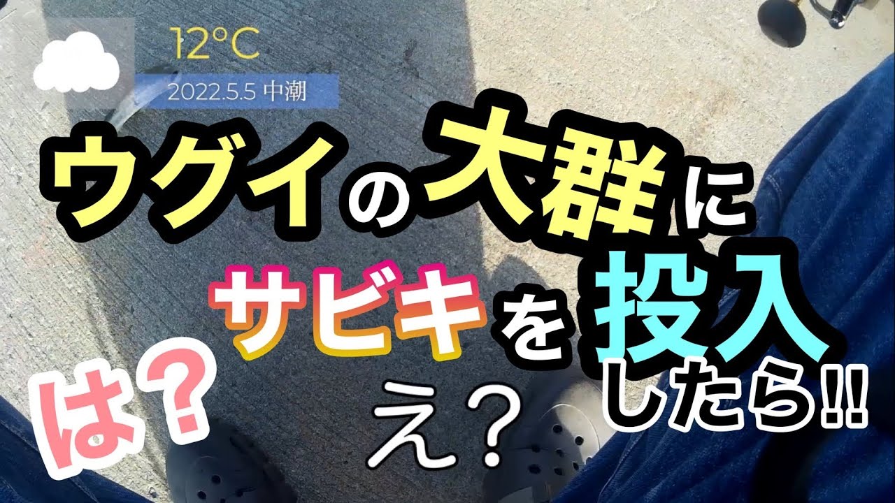 ウグイの大群にサビキを投入したら草生えたwww