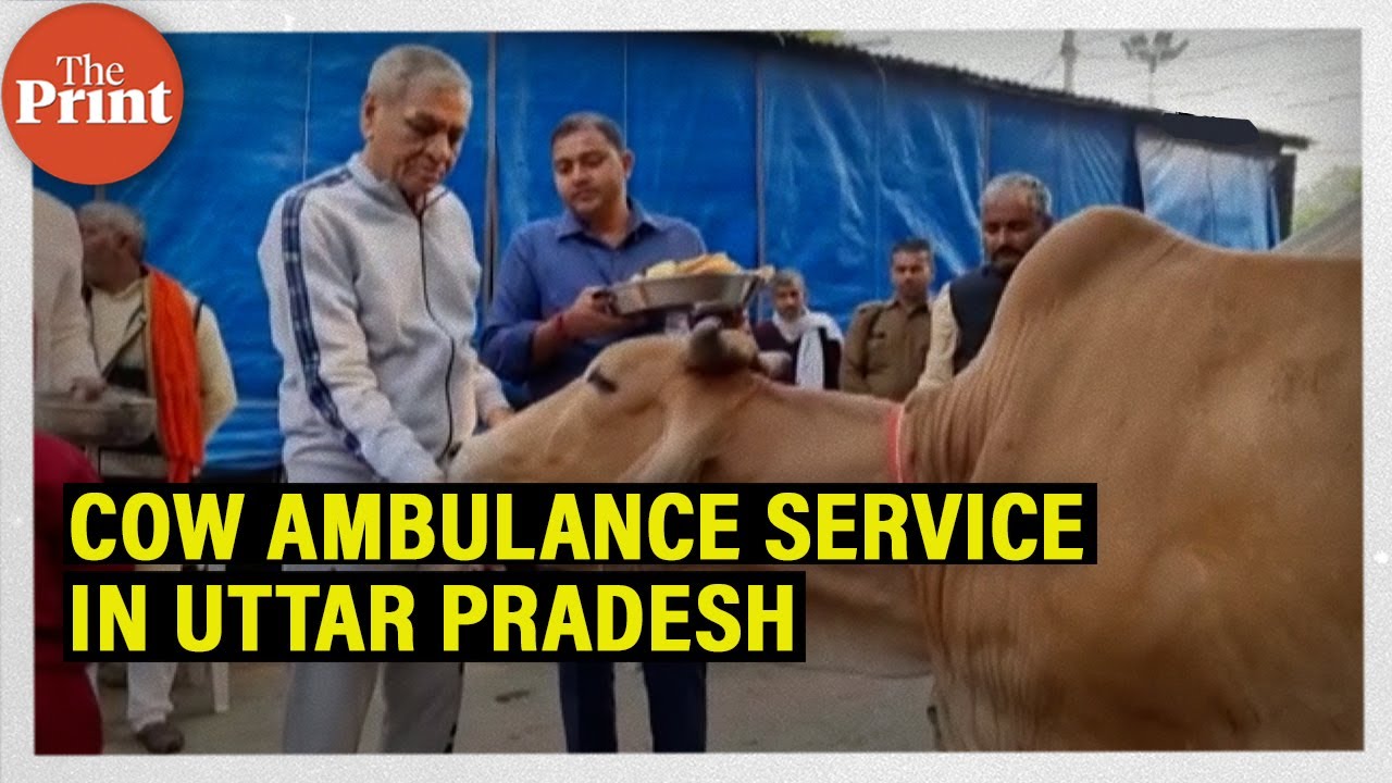 Yogi Adityanath govt to start cow ambulance service by December