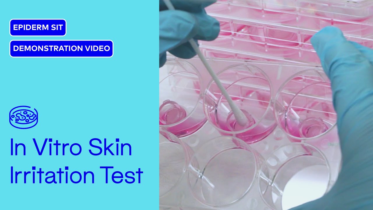 An in vitro skin irritation test using the reconstructed human epidermal model, EpiDerm