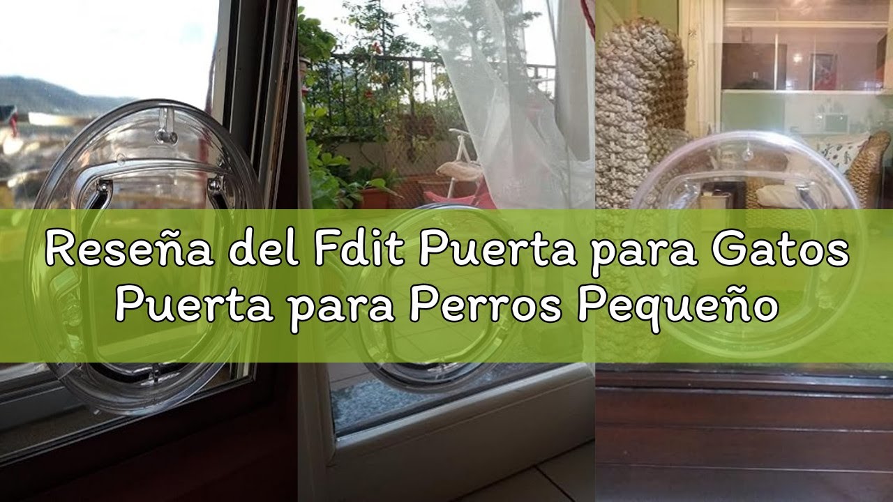 Reseña del Fdit Puerta para Gatos Puerta para Perros Pequeños con 4 Posibilidades De Tapa Redonda pa