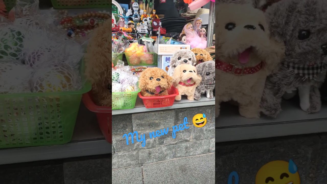 My New 🐕